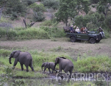 Afripics Photographer of the Week